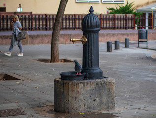 In a square in the center of Barcelona there are these public fountains