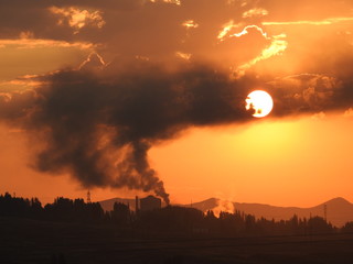 environmental pollution