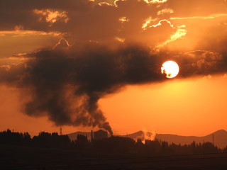 environmental pollution