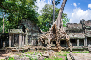 Siem Reap / Cambodia - May 27 / 2019 : huge tree with roots covering the walls at preah khan temple at angkor wat temple complex