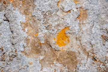 Geothermal feature at old faithful area at Yellowstone National Park (USA)
