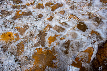Geothermal feature at old faithful area at Yellowstone National Park (USA)
