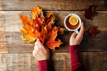 Autumn wood background with orange maple leaves