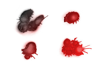 Graffiti liquid blots sprayed on white isolated background