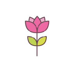 Isolated pink flower icon vector design
