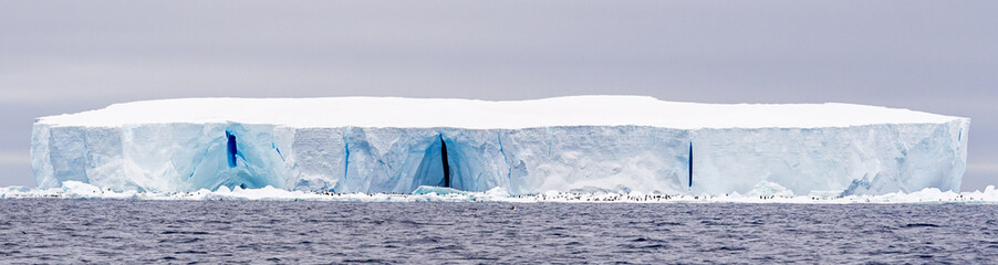 Large tabular iceberg in Antarctica with penguins in the foreground © Katherine Rock