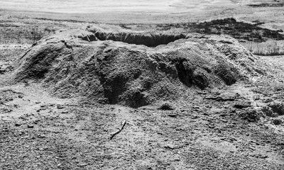 Geothermal feature at old faithful area at Yellowstone National Park (USA)