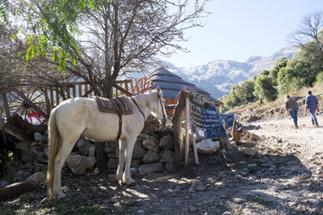 Monta&ntilde;a caballo