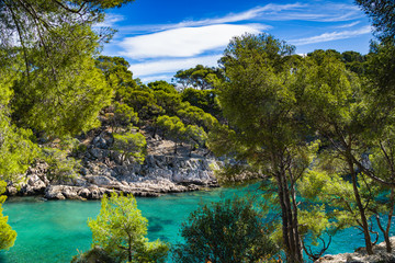 Fototapeta na wymiar Wonderful viewpoint from the forest, Calanques National Park near Cassis fishing village, Provence