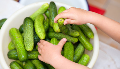 Child's hand holding a fresh cucumber