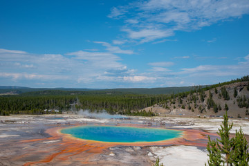 Grand Prismatic Spring in Yellowstone National Park (USA)