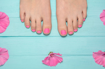 hot pink pedicure. top view of legs with pedicure. leg against the background of blue boards around pink flowers. blue wood background