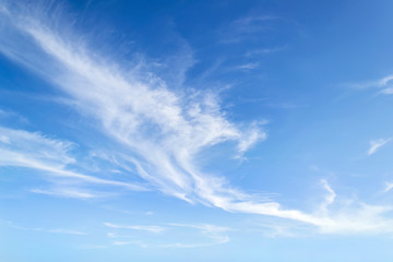 Translucent airy cirrus clouds high in a blue sky. Cloud species and varieties. Atmospheric phenomena. Skyscape on a sunny day. - obrazy, fototapety, plakaty
