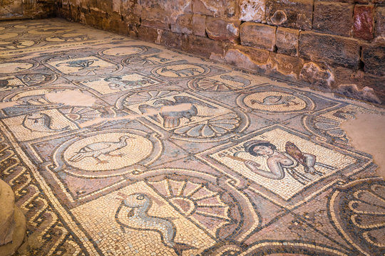 Mosaics from the former byzantine church of Petra, Jordan