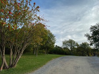 Mont Royal Park, Montreal - Canada. Park around the city of Montreal in Quebec. Simply gorgeous! Nature is beautiful and alive in connection with the city. September 2019.