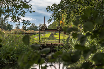 Beautiful nature in autumn