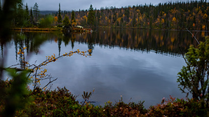 reflection of trees in lake