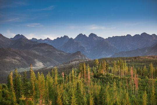 Tatra Mountains panorama in warm sunny summer day