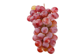 wild grapes isolated on a white background. Food