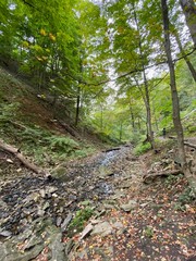 Nature Parks, Hamilton, ON - Canada. Parks around the city of Hamilton in Ontario. Simply gorgeous! Nature is beautiful and alive in connection with the city. September 2019.