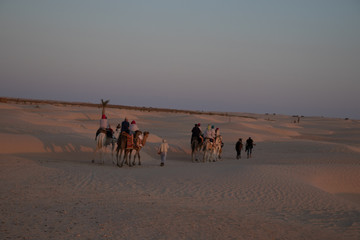 Sahara Desert Tunisia Sunset Camila