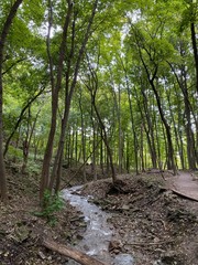 Nature Parks, Hamilton, ON - Canada. Parks around the city of Hamilton in Ontario. Simply gorgeous!...
