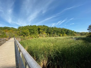 Nature Parks, Hamilton, ON - Canada. Parks around the city of Hamilton in Ontario. Simply gorgeous! Nature is beautiful and alive in connection with the city. September 2019.