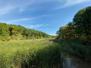 Nature Parks, Hamilton, ON - Canada. Parks around the city of Hamilton in Ontario. Simply gorgeous! Nature is beautiful and alive in connection with the city. September 2019.