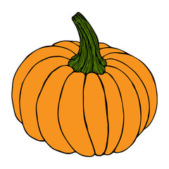 Pumpkin in color sketch black line isolated on white background