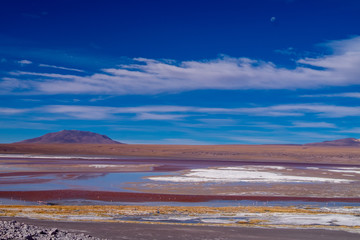 Laguna Colorada en Bolivia Sur Amercia 