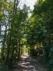 Obraz premium Nature Parks, Hamilton, ON - Canada. Parks around the city of Hamilton in Ontario. Simply gorgeous! Nature is beautiful and alive in connection with the city. September 2019.