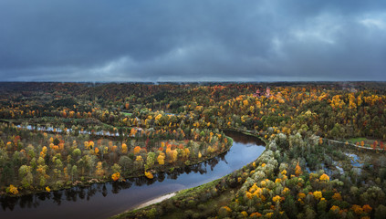 Valley of colorful trees covered fog at early mourning. Rainy weather with storm clouds in the sky. Picturesque panorama with river Gauja curving through the valley. 