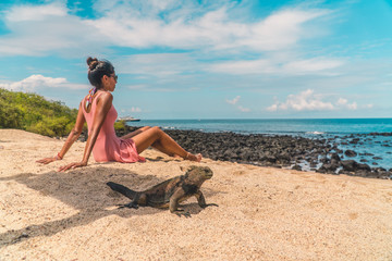 Fototapeta na wymiar Galapagos beach iguana and woman tourist on beach. Natural wildlife shot in San Cristobal, Galapagos. Beautiful beach with ocean sea background. Wild animal in nature.