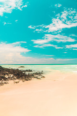 Tropical beach with turquoise ocean waves and white sand. Holiday, vacation, paradise, summer vibes. Shot in Tortuga Bay, San Cristobal, Galapagos Islands.