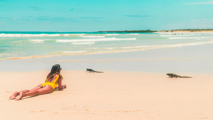 Fototapeta na wymiar Woman, Iguana playing on beach Galapagos. Tourist on Tropical beach with turquoise ocean waves and white sand. Sand bay view. Holiday, vacation, paradise, summer vibes. Isabela, San Cristobal
