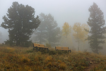 Two benches on a cold misty fall Rocky Mountain morning