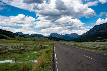 Lamar valley in Yellowstone National Park