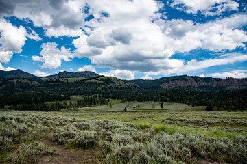 Fototapeta premium Lamar valley in Yellowstone National Park