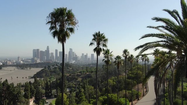 Los Angeles Downtown Skyline And Palm Trees In Elysian Park Aerial Establish Shot Elevate