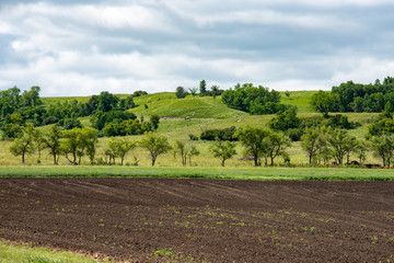 Fototapeta na wymiar landscape in North Dakota
