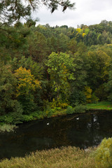 Fototapeta na wymiar Forest autumn Nature about Creek in northern Bohemia, Lusatian Mountains, Czech Republic