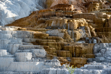 Minerva Terraces with its travertine deposits