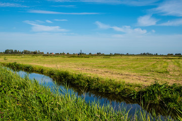 Fototapeta na wymiar Typical Dutch polder landscape near Zaandam, Nord Holland.
