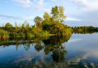 Fototapeta na wymiar trees reflection in lake water