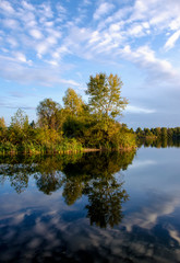 Fototapeta na wymiar trees reflection in lake water