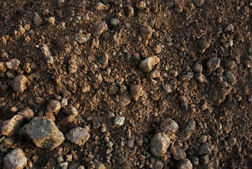 ground and stones close up texture