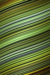 Wave line pattern cover background, fluid illusion.