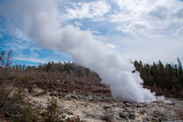 Geothermal feature at Norris geyser basin area at Yellowstone National Park (USA)
