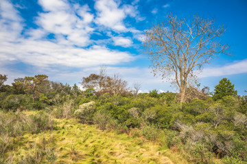 Life of the Marsh Nature Trail at Assateague