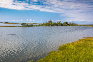 Life of the Marsh Nature Trail at Assateague